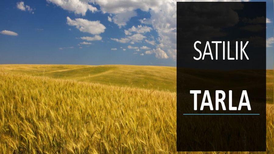 Vergi dairesinden sat�l�k tarla