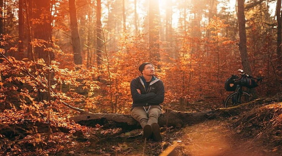 'Vücutta B vitamini varsa sonbahar depresyonu yok'