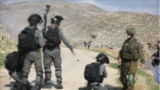 Yeni Zelandalı aktivistlerden tarihi adım