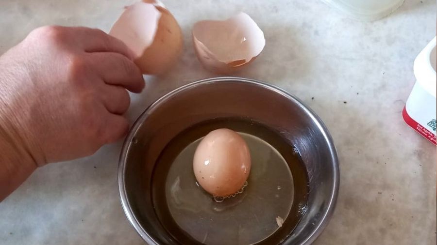 Yumurta içinde yumurta çıktı