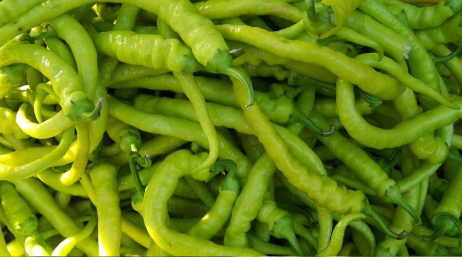 Zam �ampiyonu sivri biber oldu