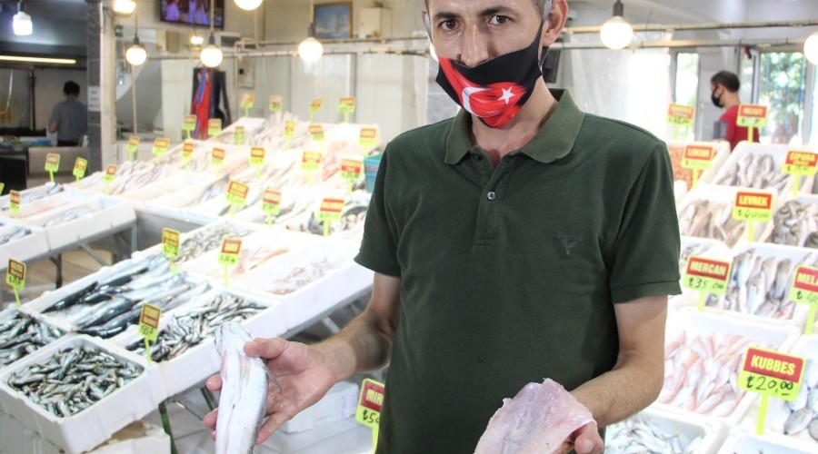 Zehirli balon balığı eti satışa mı sunuldu?