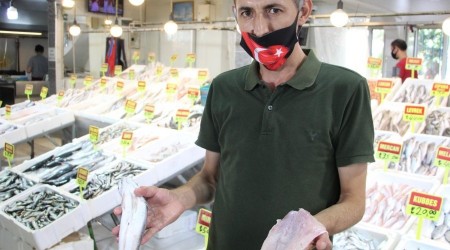 Zehirli balon balığı eti satışa mı sunuldu?