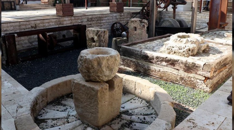 Zeytinin yolculu�u bu m�zede