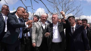 Zirai don byk hasara neden oldu