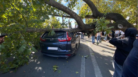 Zonguldak'ta devrilen aa park halindeki otomobile zarar verdi