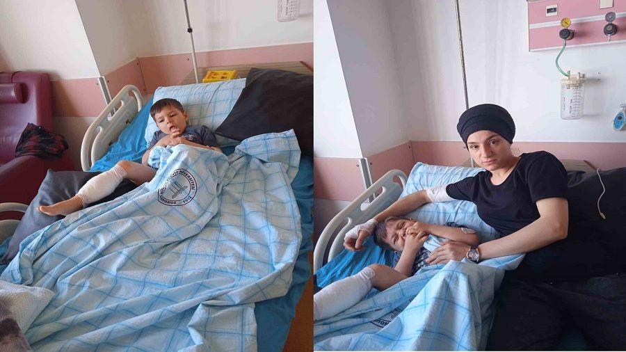 Zonguldak'ta pitpullun saldırdığı çocuk hastanelik oldu