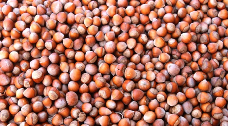 1 ton 100 kilo f�nd�k �ald�lar