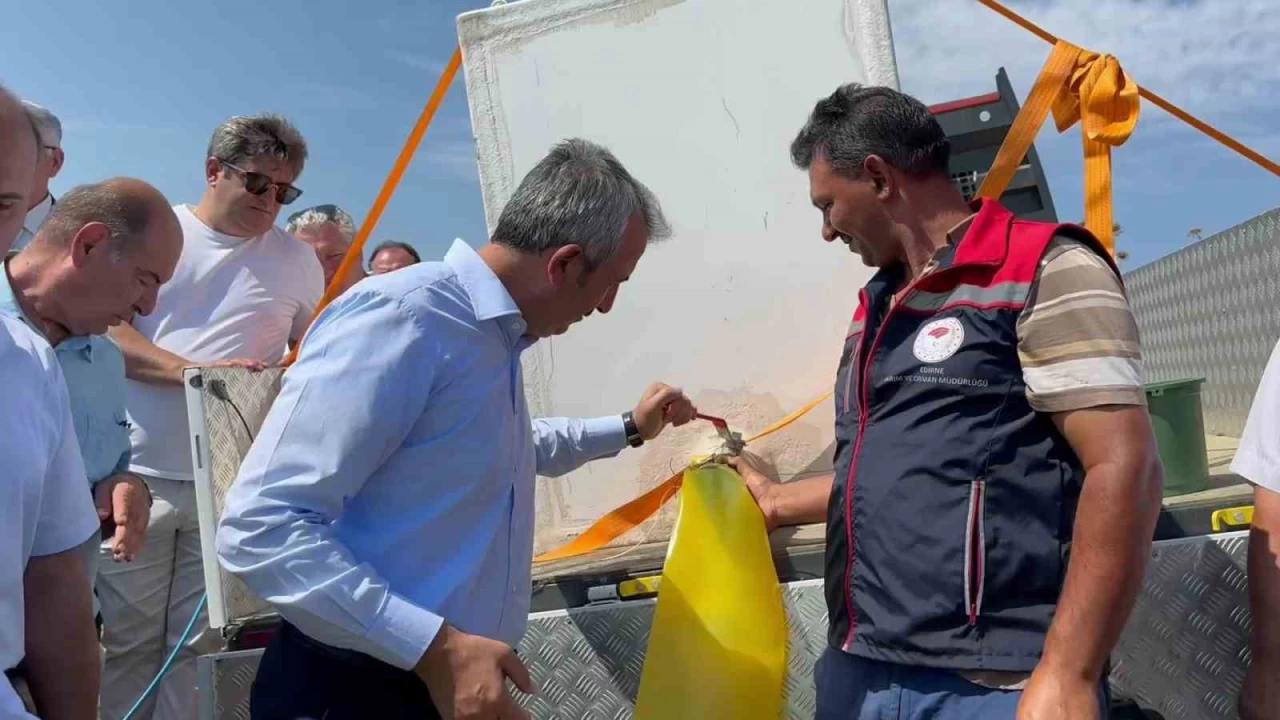 10 milyon yavru sazan suya b�rak�ld�