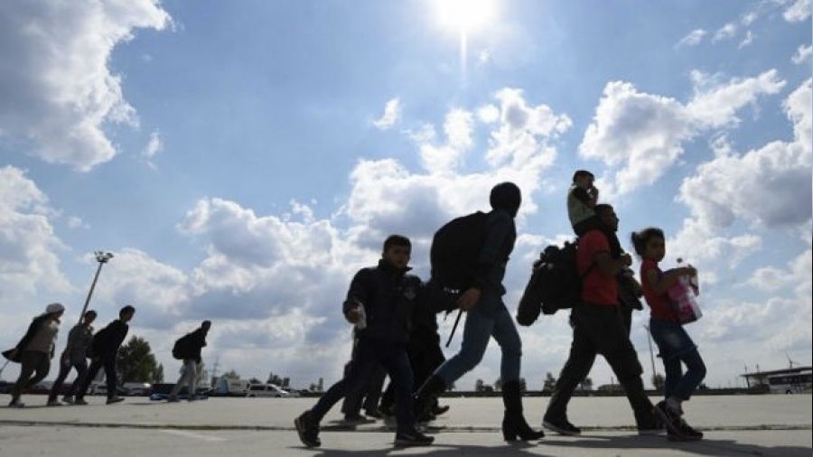 �13 milyon s���nmac� ve ka�a��n d�nmesi art�k �ok zor�