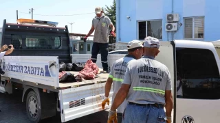 1.5 ton at ve eşek eti yakalatan şahıstan şok savunma
