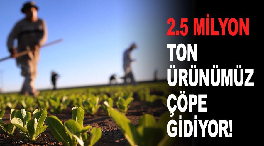 2.5 milyon ton ürünümüz çöpe gidiyor