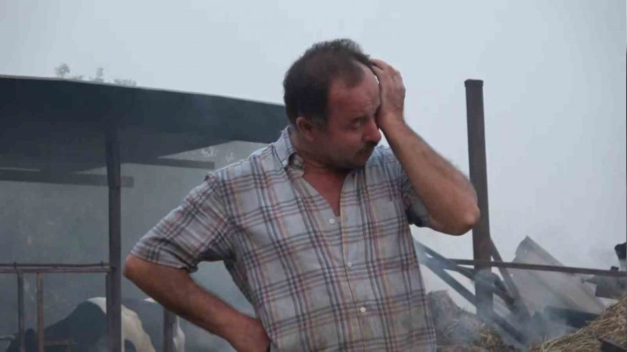30 yıllık emekleri tek seferde küle döndü