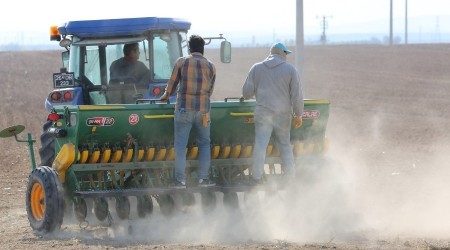 650 dekarlık tarım arazisinde arpa ekimine başladı
