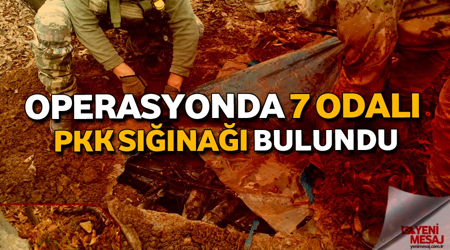 7 odal snak bulundu