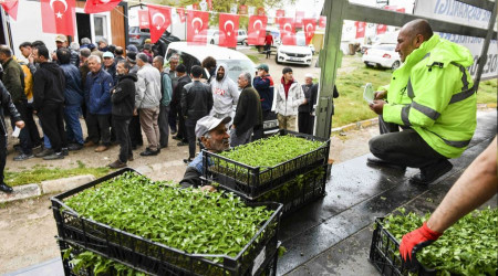 ABB'den deprem bölgesine sebze fidesi desteği
