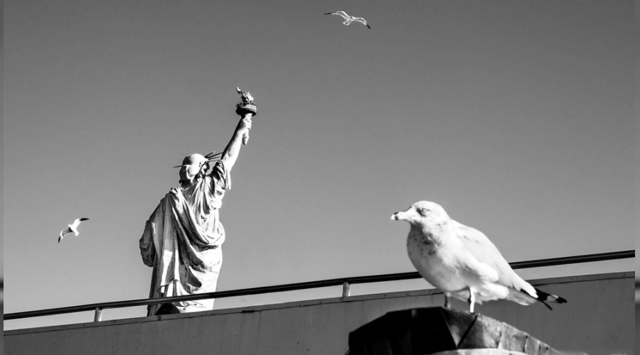 ABD�ye gelen g��men say�s� dibe vurdu