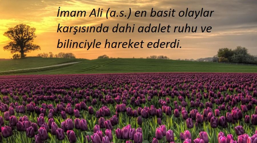Adalet, Hz. Ali�nin en belirgin �zelli�iydi