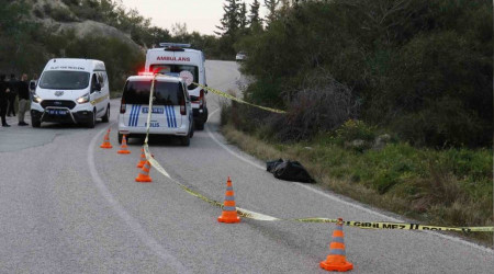 Adana'da ormanlık alanda infaz: 1 ölü, 1 ağır yaralı