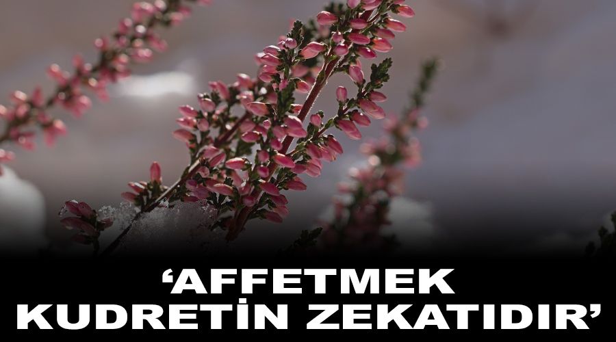 ‘Affetmek, kudretin zekâtıdır’