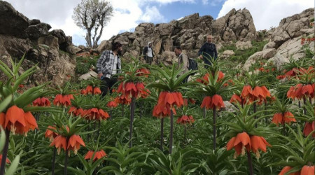 'Ağlayan Gelinler'den görsel şölen