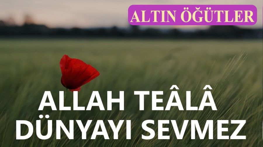 �Allah Te�l� d�nyay� sevmez�