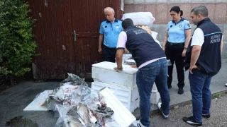 Antalya Otogarı'nda balık operasyonu: 260 kilo ele geçirildi