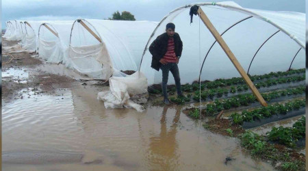 Antalya'da çilek seraları sular altında