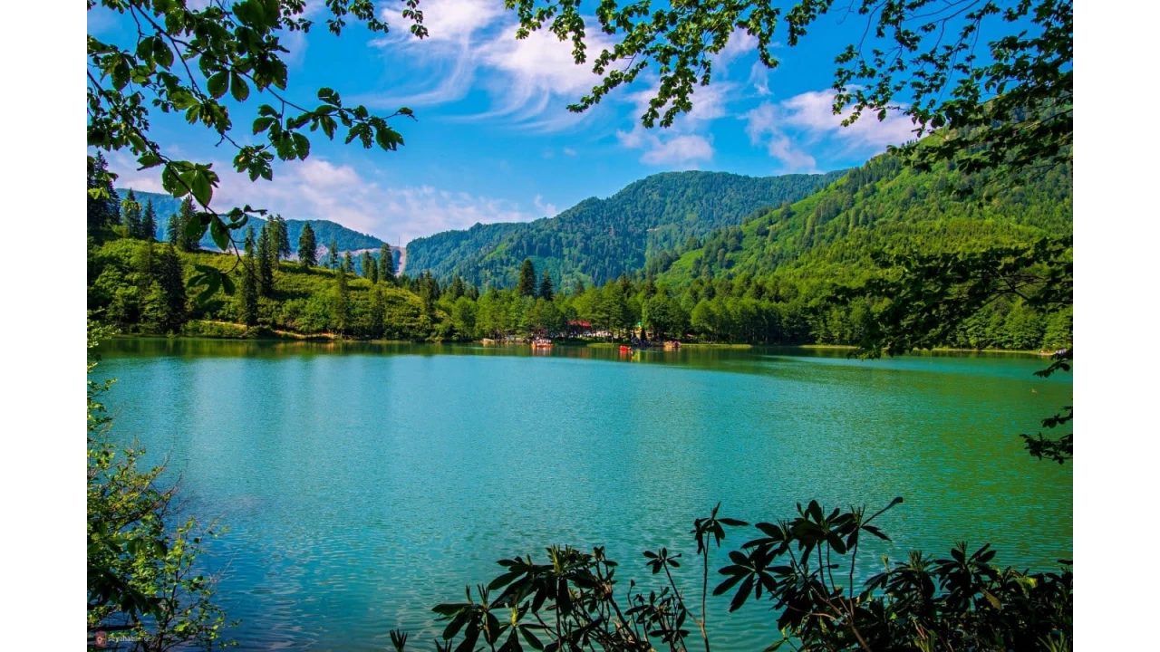Artvin: Doğanın cömert yüzü