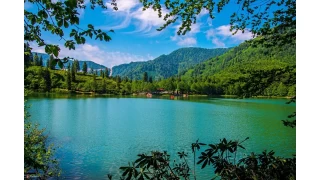 Artvin: Doann cmert yz