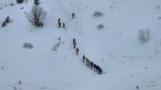 Artvin'de çığ altında kalan 2 kişiyi arama çalışmaları sürüyor