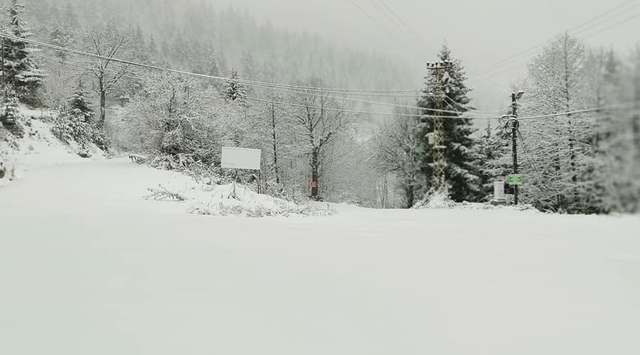 Artvin'de kar yağışı nedeniyle 29 köy yolu ulaşıma kapandı