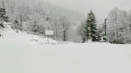 Artvin'de kar yağışı nedeniyle 29 köy yolu ulaşıma kapandı
