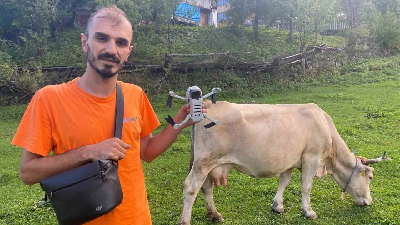 Artvinli genç drona çobanlık yaptırıyor