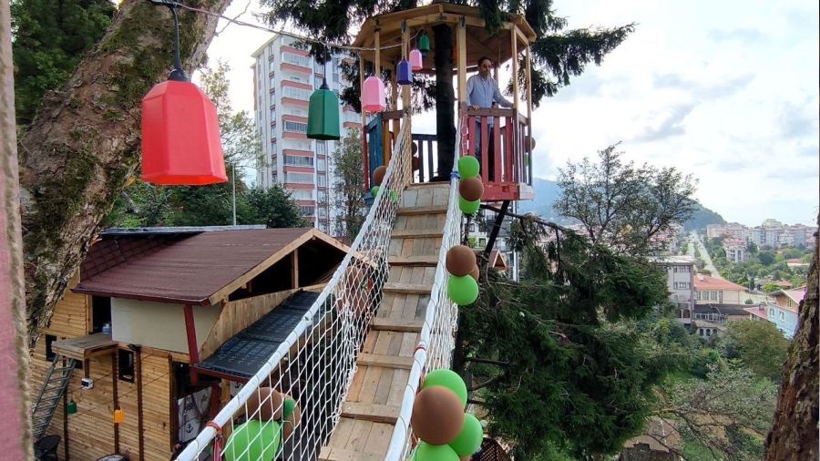 Artvinli restoran işletmecisi ağaçları kesmeye kıyamayınca çözümü böyle buldu