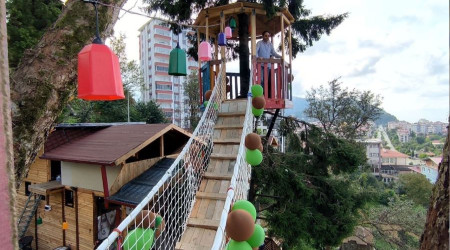 Artvinli restoran işletmecisi ağaçları kesmeye kıyamayınca çözümü böyle buldu