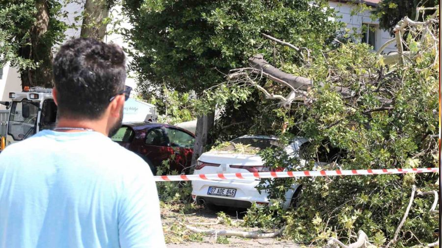 Asrlk nar aacnn krlan dal 5 arata hasara yol at
