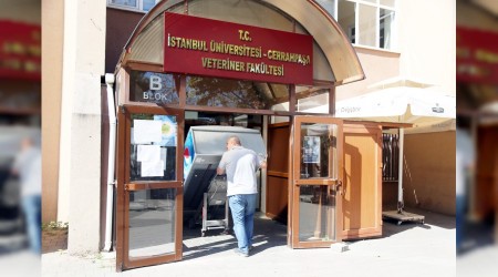 Avcılar'daki üniversite binaları çürük çıktı