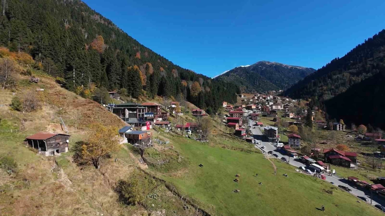 Ayder Yaylas'nda teleferik projesi hayata geiyor
