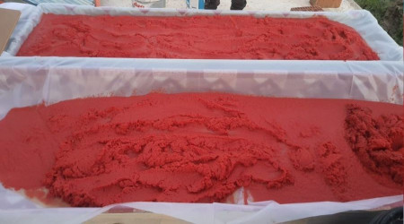 Aydın'da balkonlar kırmızıya boyandı