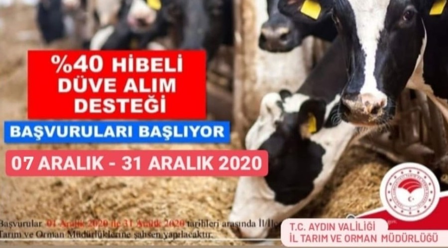 Aydın'da çiftçilere düve alım desteği verilecek
