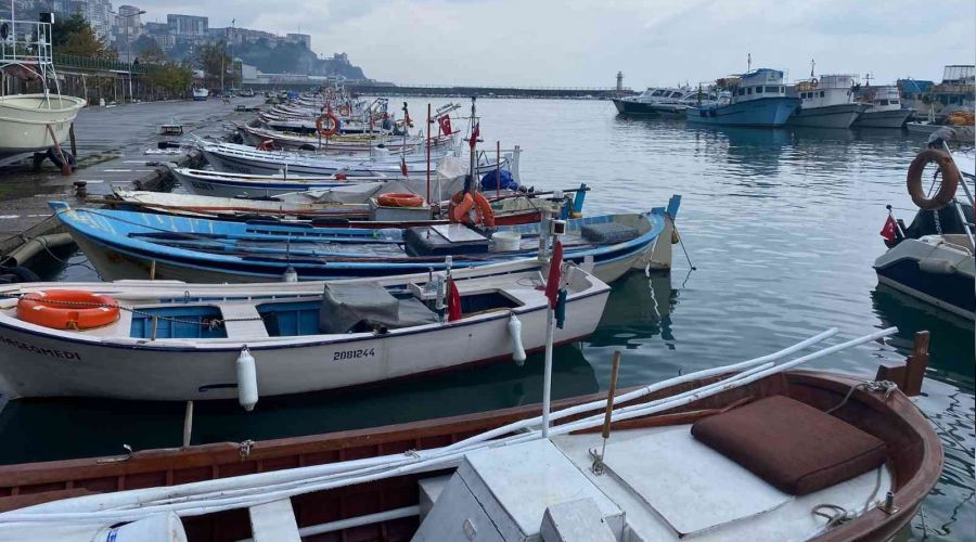 Bal�k��lar�n hamsi sevinci