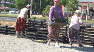 Balkesir' de Havran ilesi incir de Aydn'a rakip oldu