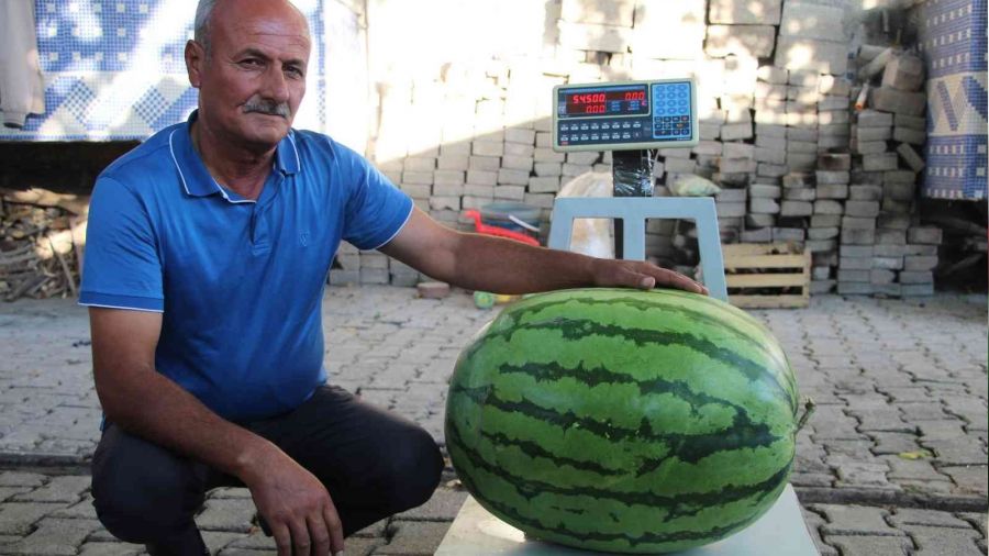 Batmanl� �ift�i 53 kilo 300 graml�k karpuz yeti�tirdi