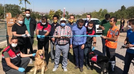 Belediyeden hayvanlar için 'Patiyol'