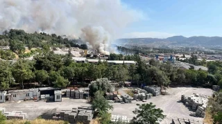 Belediyelerin pleri orman yangnna sebep oldu