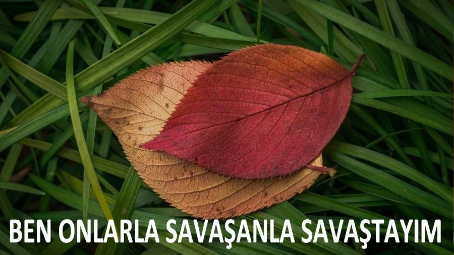 ‘Ben onlarla savaşanla savaştayım’