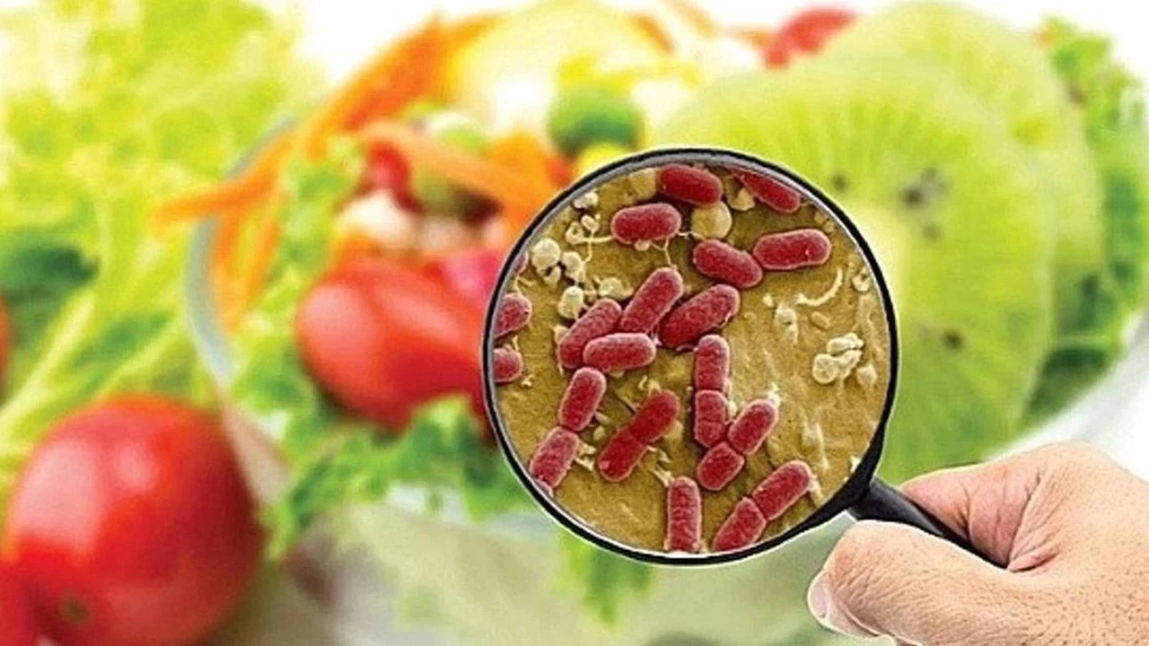 Besin Zehirlenmesi K�resel Sa�l�k Tehdidine D�n��t�