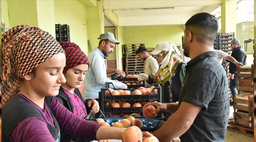 Bilecik eftalide Bursa'nn rakibi