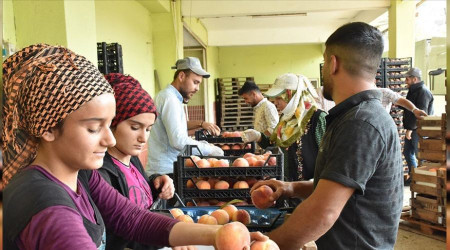 Bilecik eftalide Bursa'nn rakibi